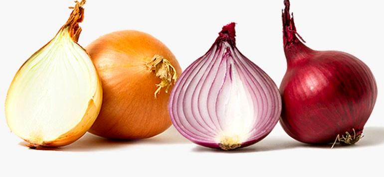 خواص دارویی پیاز
