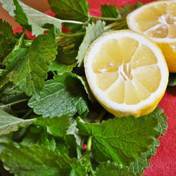 مکمل‌های موثر در درمان گواتر و اختلالات تیروئید