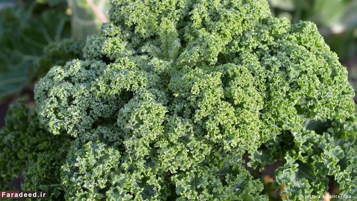 مواد خوراکی با خاصیت‌های فوق‌العاده