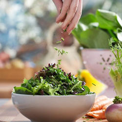 راه‌های خوشمزه برای خوردن تخم کتان