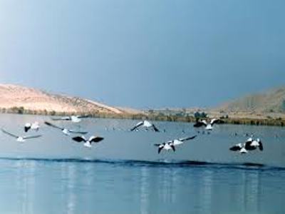 تالاب ها و ارزش های زیست محیطی آن