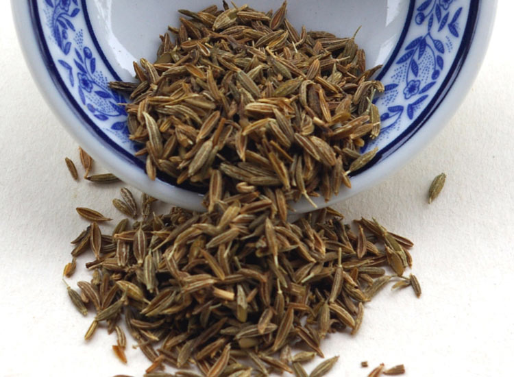 آنغوزه - گیاهان دارویی استان کرمان