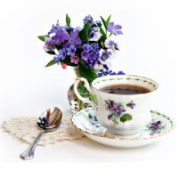 درمان کم خوابی با دمنوش بنفشه