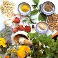 آرامبخش‌های گیاهی برای رفع میگرن 