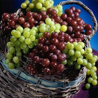 بهترین میوه ها برای جلوگیری از پیری
