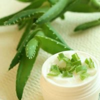 کاربردهای باورنکردنی " آلوئه ورا"