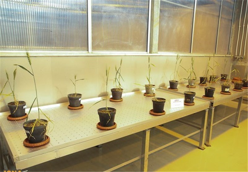 خالص سازی آب های نامتعارف با انرژی خورشیدی برای پرورش گیاه