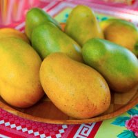 خواص انبه در پیشگیری از ابتلا به سرطان 