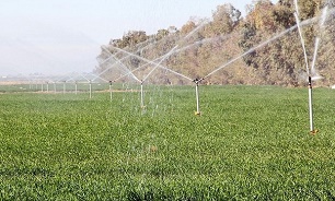 تشکیل صندوق ملی حمایت از سرمایه‌گذاری محصولات گلخانه‌ای