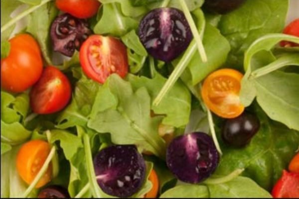 گیاهان تراریخته تاثیری بر بیان ژن‌های انسان ندارند