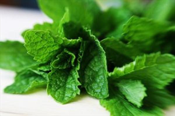 محلولی برای ضد عفونی کردن بینی