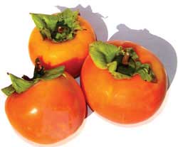 کاهش چربی خون با خرمالو