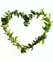 لیست جهانی بخور نخور‌ها مخصوص حفاظت از قلب