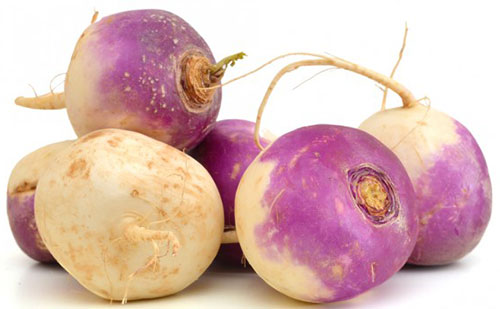 میوه‌درمانی به سبک بوعلی