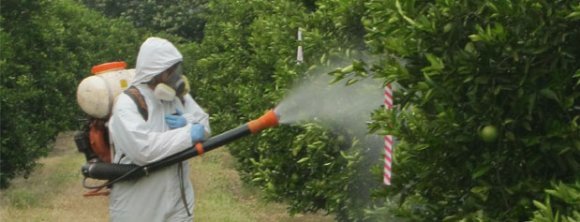 سموم خطرناك چيني در سبد غذايي ايراني 