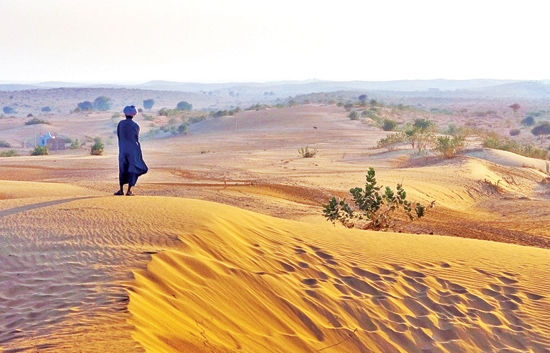 سرانه بیابان در ایران 2 برابر میانگین جهانی است