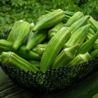 با خواص جادویی "بامیه" آشنا شوید 