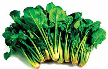 ۳۰ خاصیت اسفناج و چند ضرر خاص