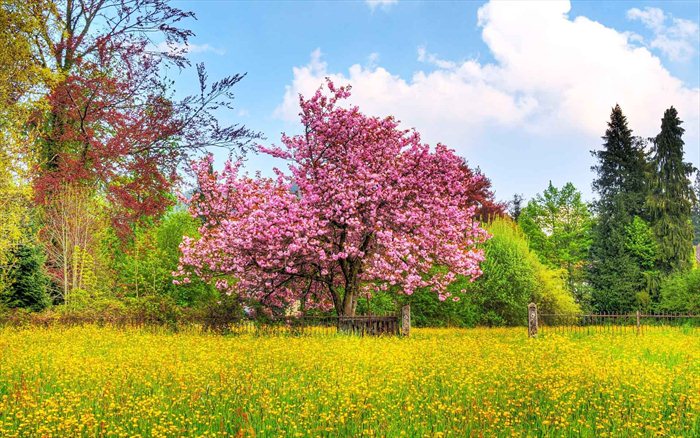 با طبیعت مهربان‌تر باشیم