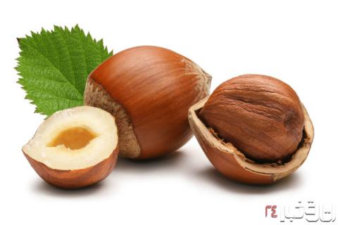 با خواص فندق آشنا شوید