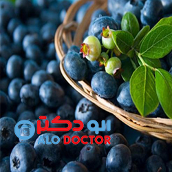 بلوبری بخورید تا آلزایمر نگیرید!