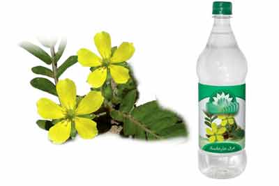 عرقيجات مفيد و مضر در دوران باردراي