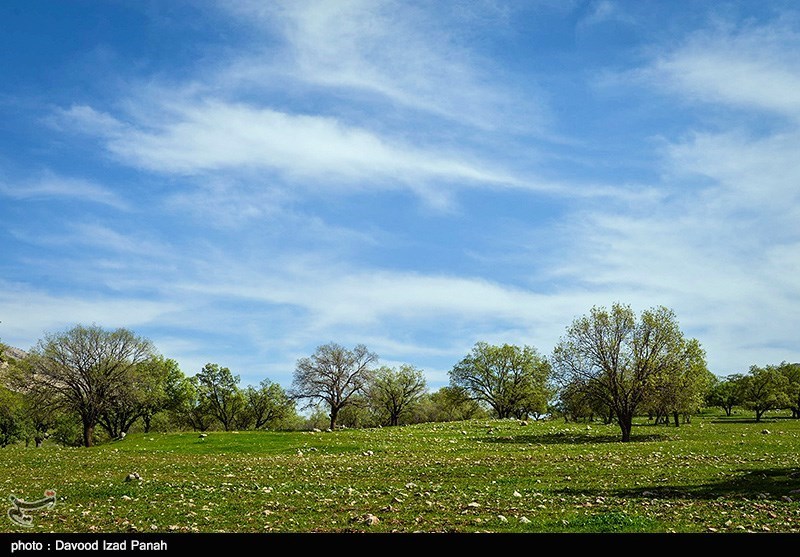 تصاویر: طبیعت زیبای بهاری در گچساران