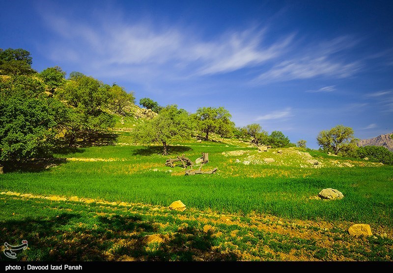 تصاویر: طبیعت زیبای بهاری در گچساران