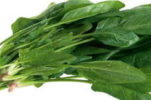 اسفناج گیاه ضد اشتهای معجزه گر برای لاغری