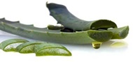 آلوئه ورا؛ سرشار از مواد مغذی