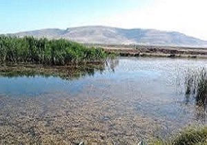 "تالاب هشیلان" زیستگاهی طبیعی و زیبا