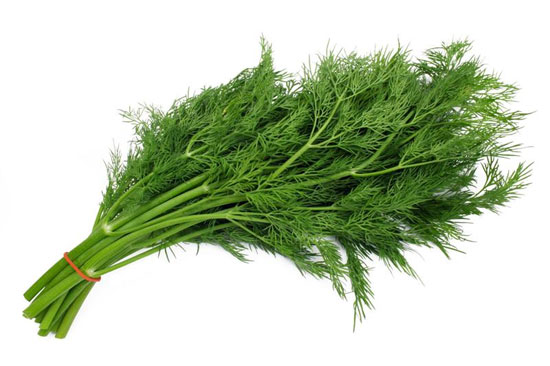 داروی گیاهی برای کاهش دادن چربی خون