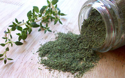 گیاهی فوق العاده برای درمان انواع بیماری ها