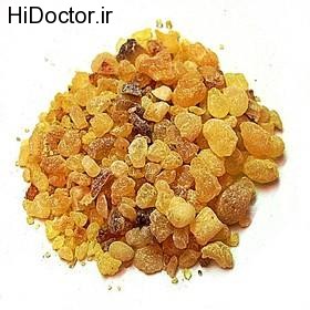 رفع سرطان با اين دانه تلخ