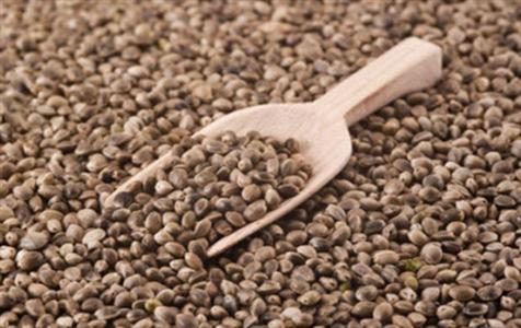 معجزه این روغن در درمان صرع