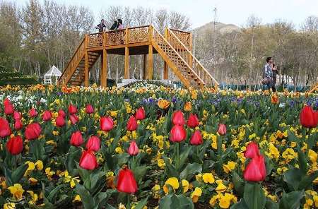 جشنواره گل با استقبال مردم در كرج كليد خورد