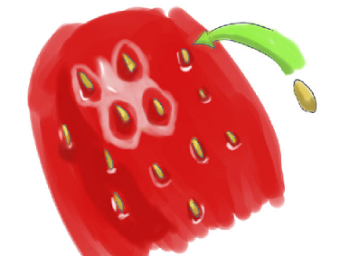 کاشت توت فرنگی