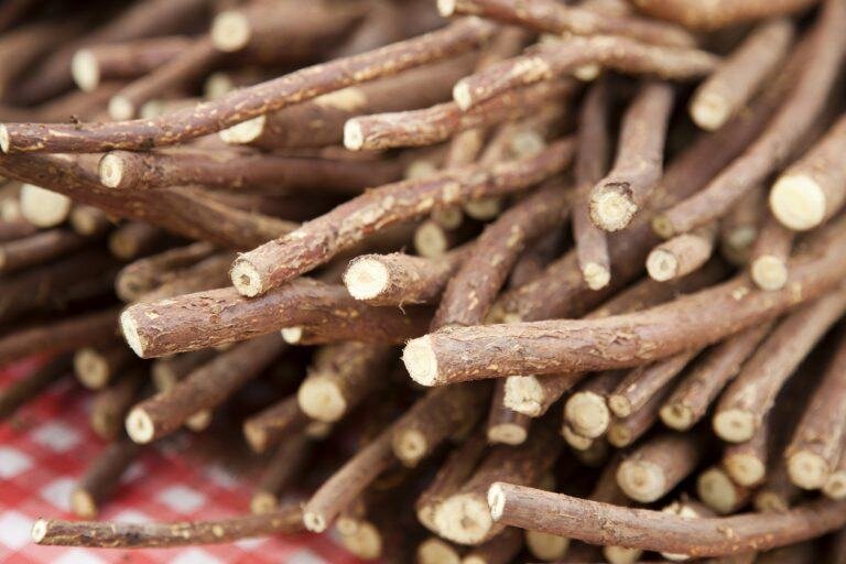 شیرین بیان - گیاهی برای پیشگیری از گرفتگی عروق