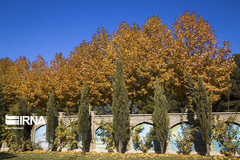 پاییز قزوین