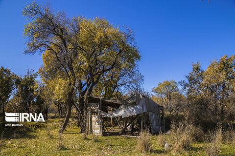 تصویر | پاییزرنگارنگ قزوین