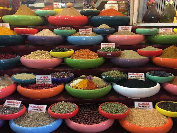 ۱۴ تن گیاه دارویی در سبزوار برداشت شد 