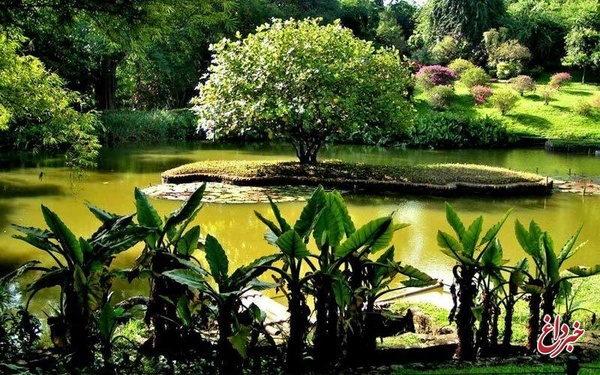 احداث باغ گیاه‌شناسی آموزشی در بهبهان بررسی می‌شود 