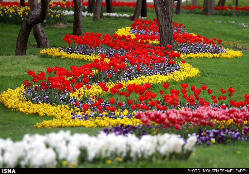 تصاویری ازباغ گل‌های پیازی - مشهد