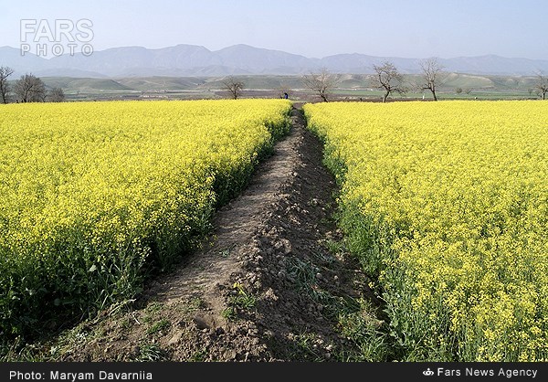 تصاویری ازطبیعت بهاری خراسان شمالی