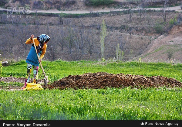 تصاویری ازطبیعت بهاری خراسان شمالی