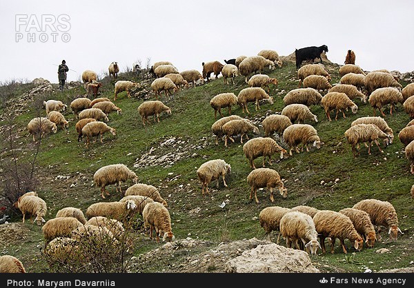 تصاویری ازطبیعت بهاری خراسان شمالی