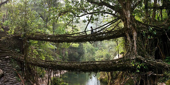 پل های طبیعی (+عکس)