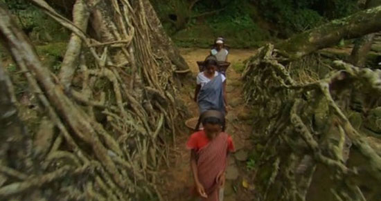 پل های طبیعی (+عکس)