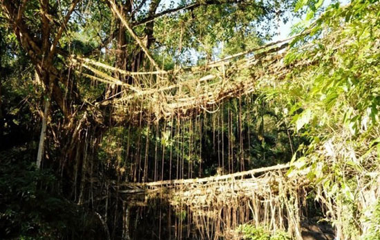 پل های طبیعی (+عکس)