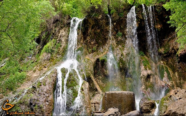 بهار شگفت انگیز در مشهد (عکس)